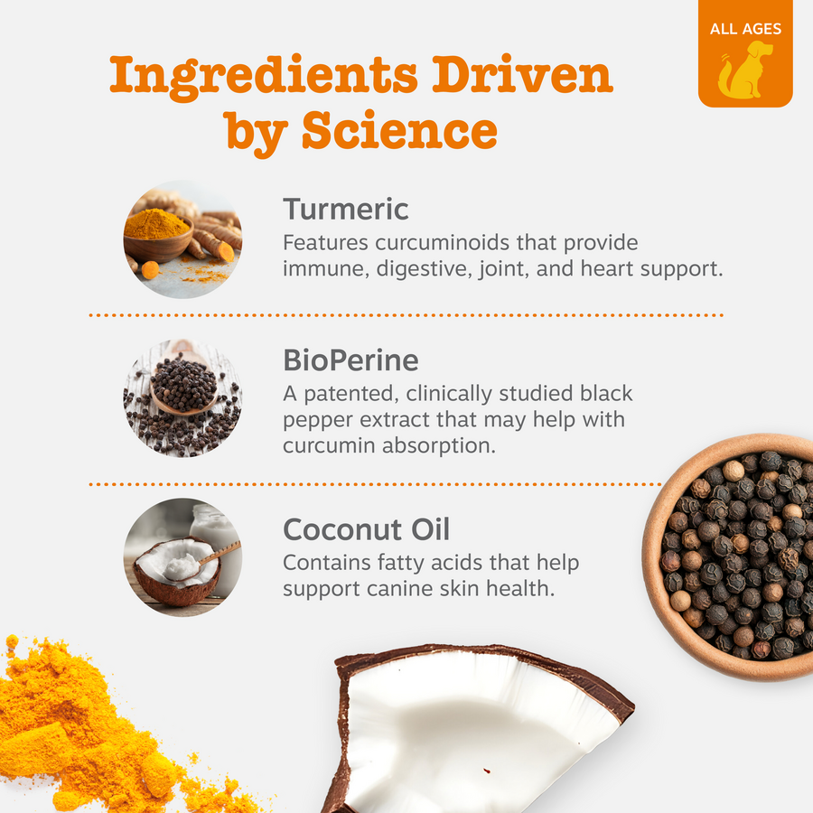 Dog Joint Supplement product image 4