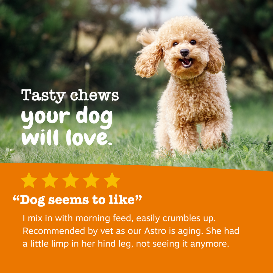 Dog Joint Supplement product image 6