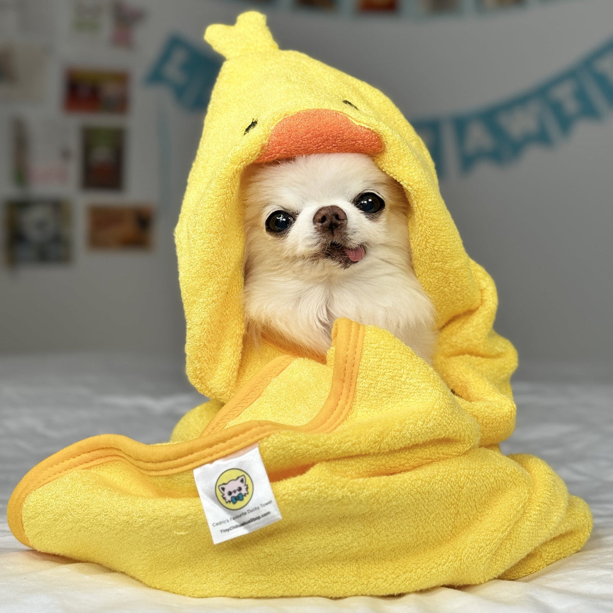 Hooded Pet Towel product image 2