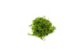 Live Christmas Moss Aquarium Plant, Golfball
