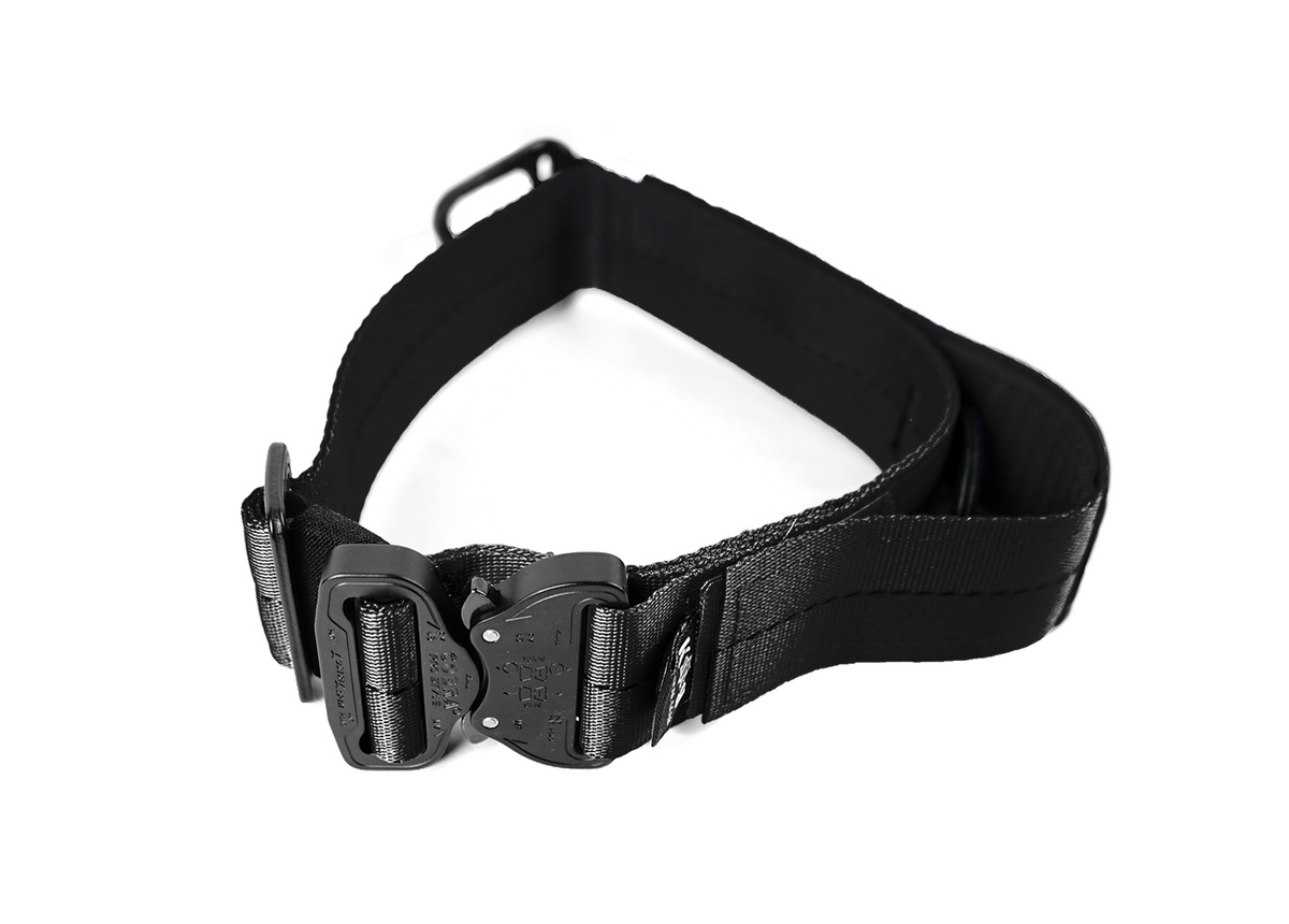 Integrated E-Collar Dog Collar product image 3