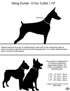 Integrated E-Collar Dog Collar product image 9