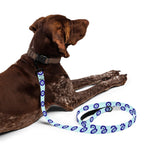 Dog Leash product image 1