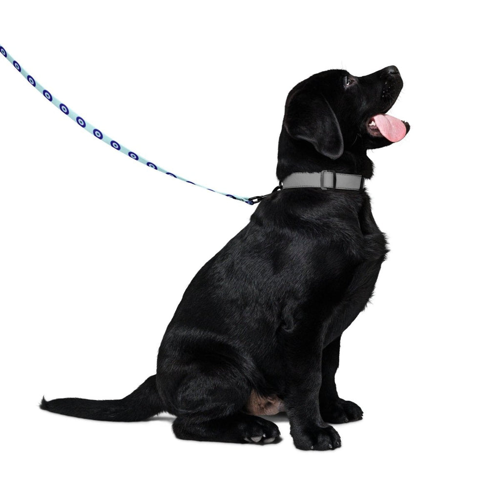 Dog Leash product image 2