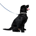 Dog Leash product image 2