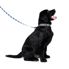 Dog Leash product image 2
