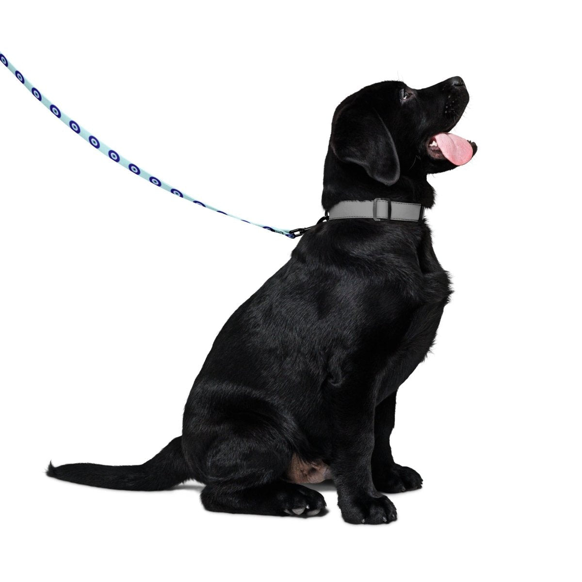 Dog Leash product image 2