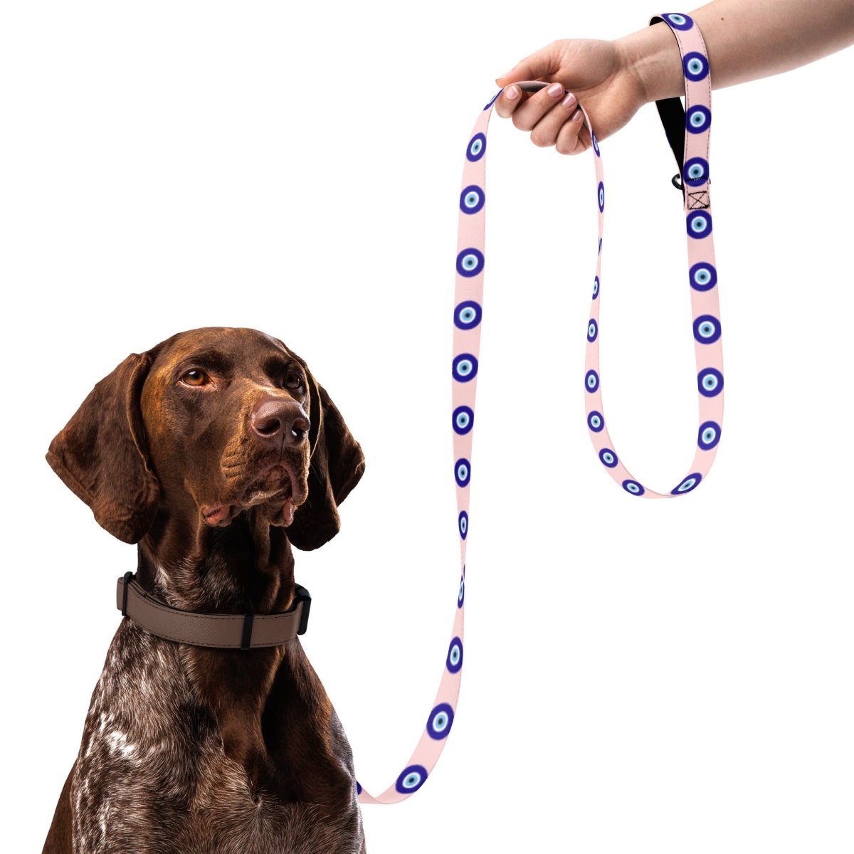 Dog Leash product image 1