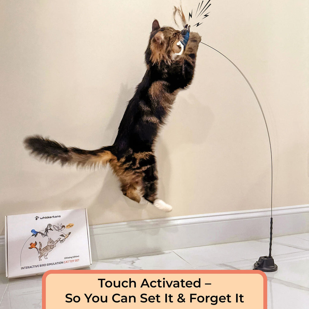 Interactive Cat Toy product image 3