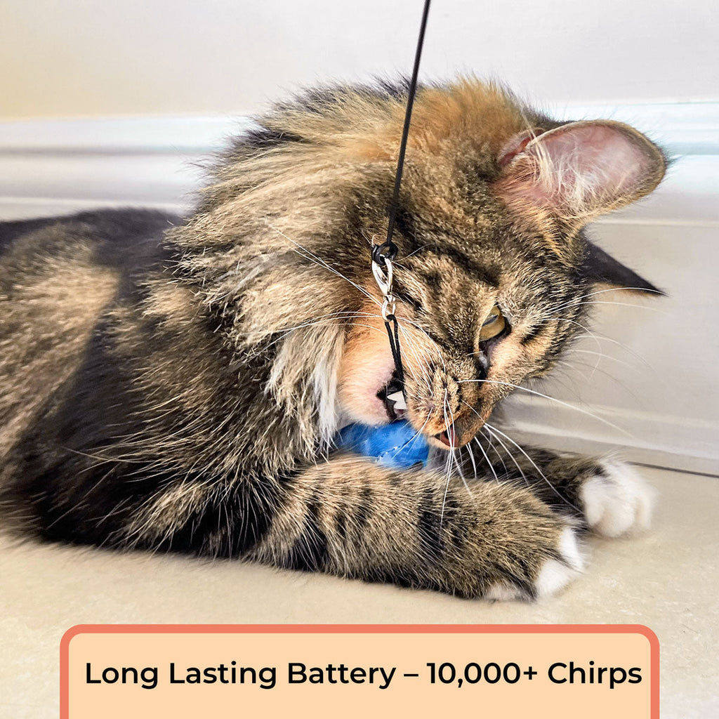 Interactive Cat Toy product image 6