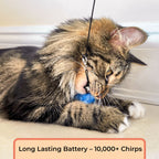 Interactive Cat Toy product image 6