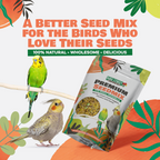 Parrot Seed Mix product image 5