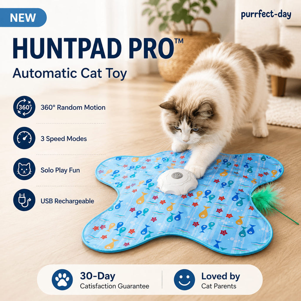Automatic Cat Toy product image 1