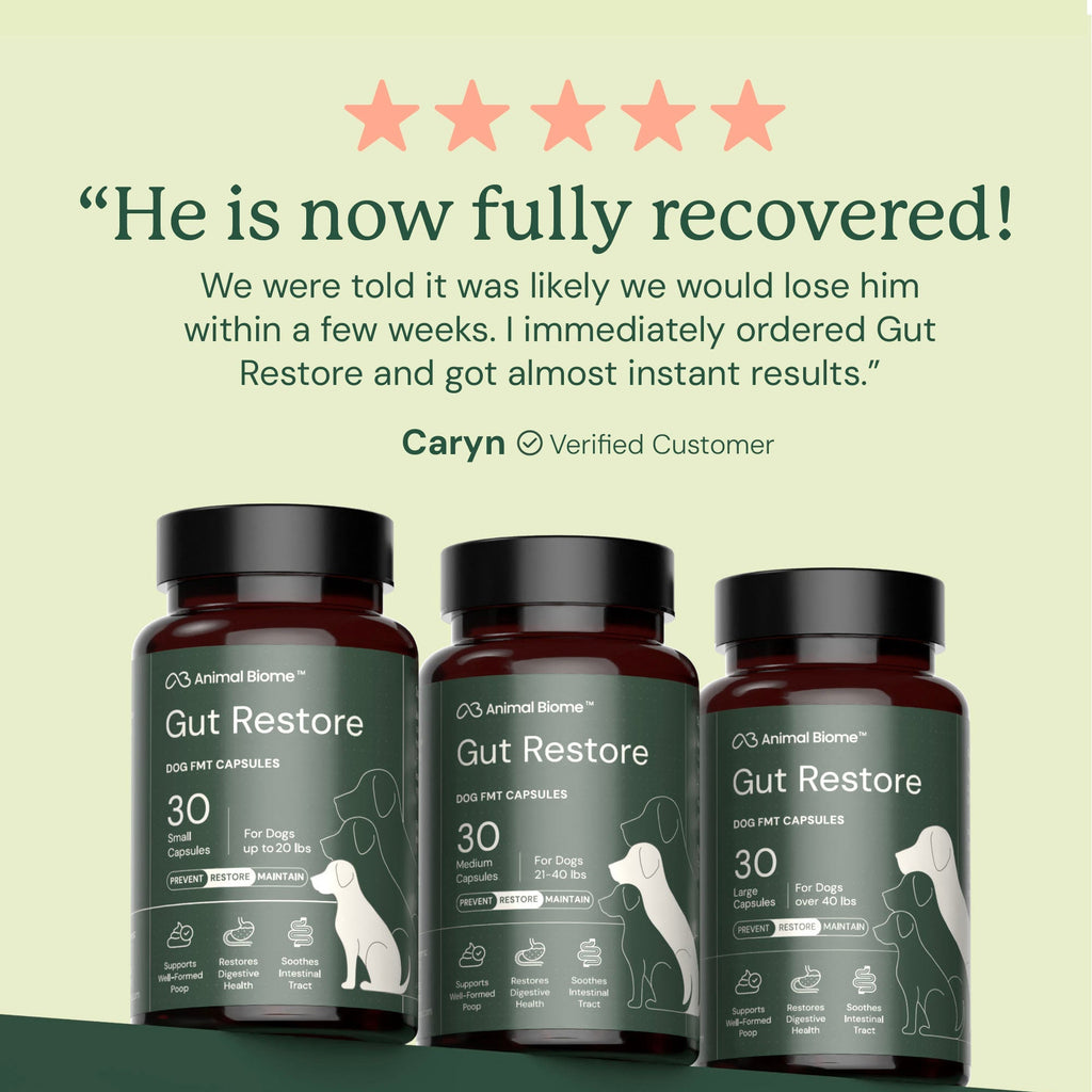 Dog Gut Microbiome Support Capsules product image 5