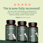 Dog Gut Microbiome Support Capsules product image 5