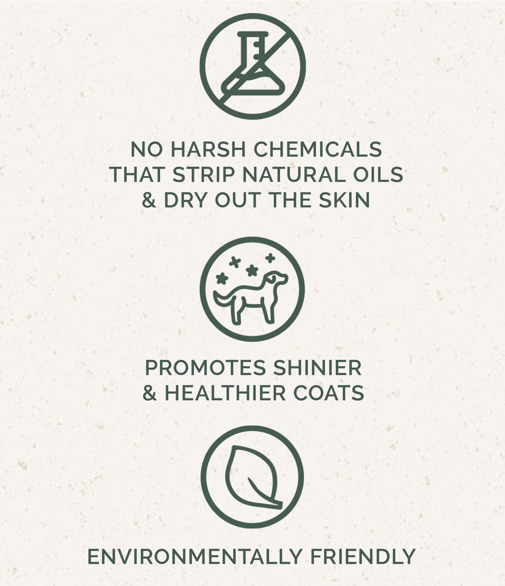 Dog Shampoo product image 4