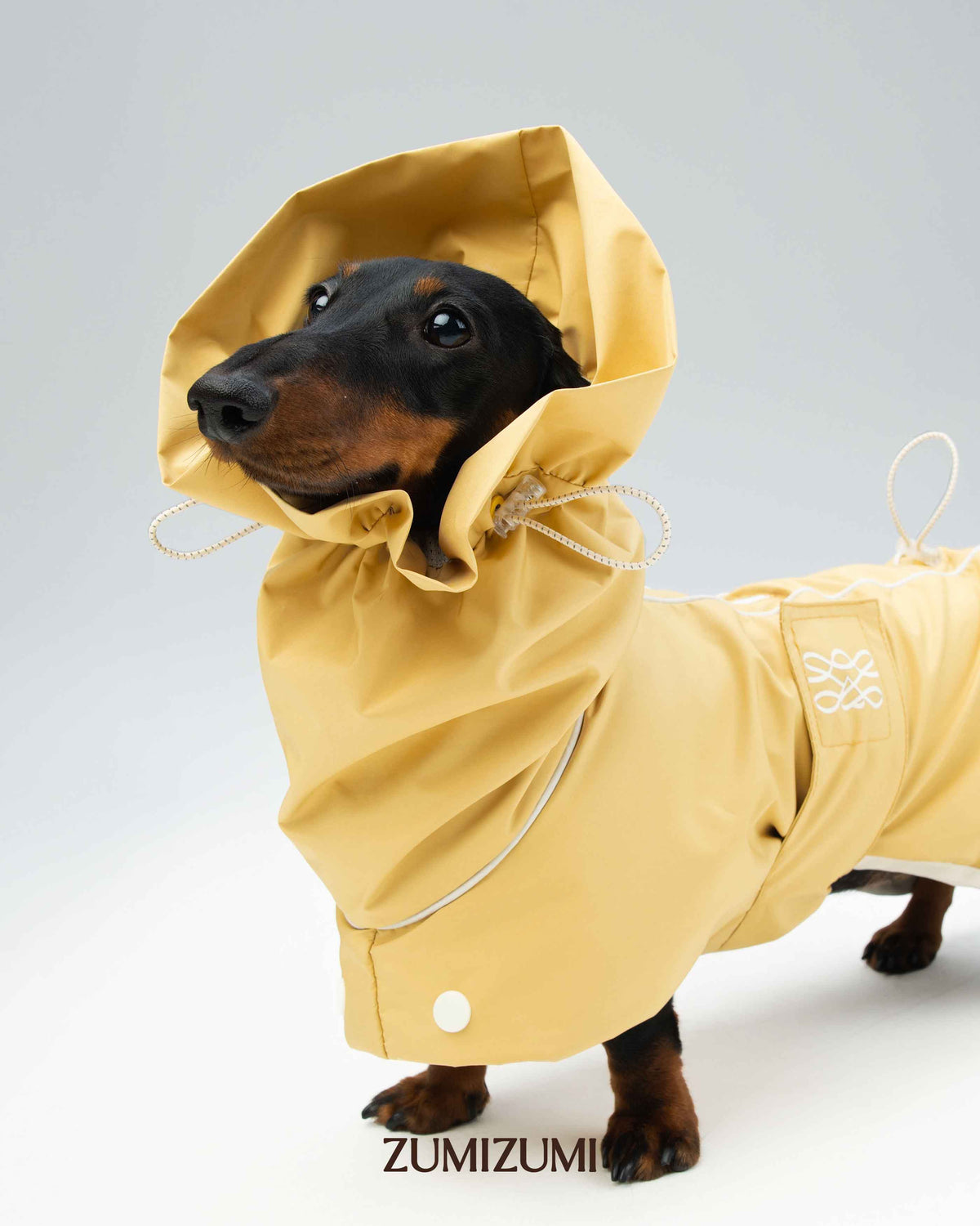 Dog Raincoat product image 1