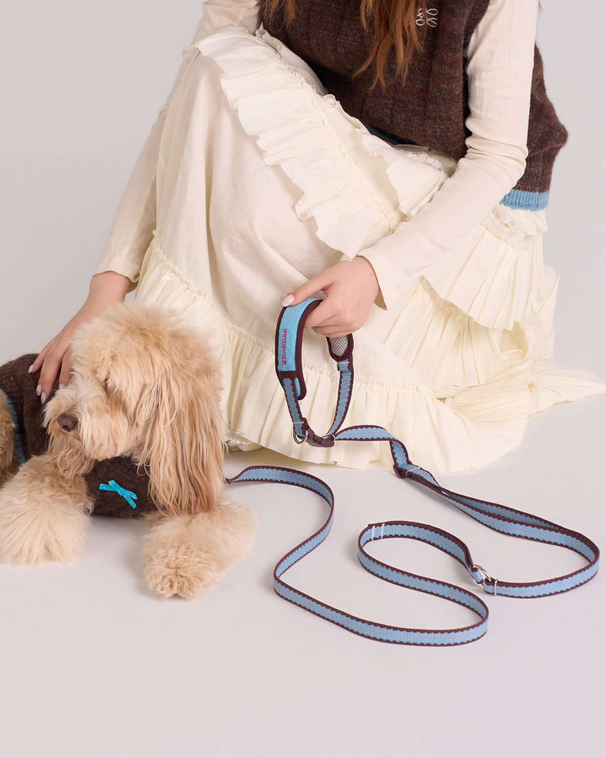 Hands-Free Leash product image 1