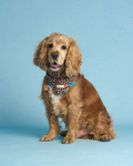 Dog Bandana product image 1