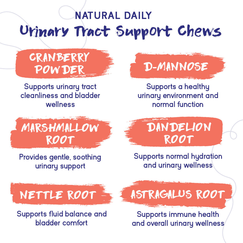 Cat Urinary Supplement product image 3