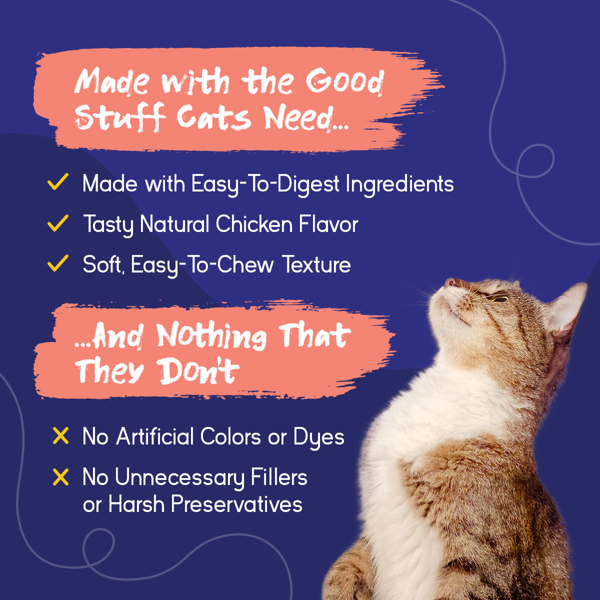 Cat Urinary Supplement product image 4