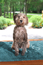 Dog Door Mat product image 1