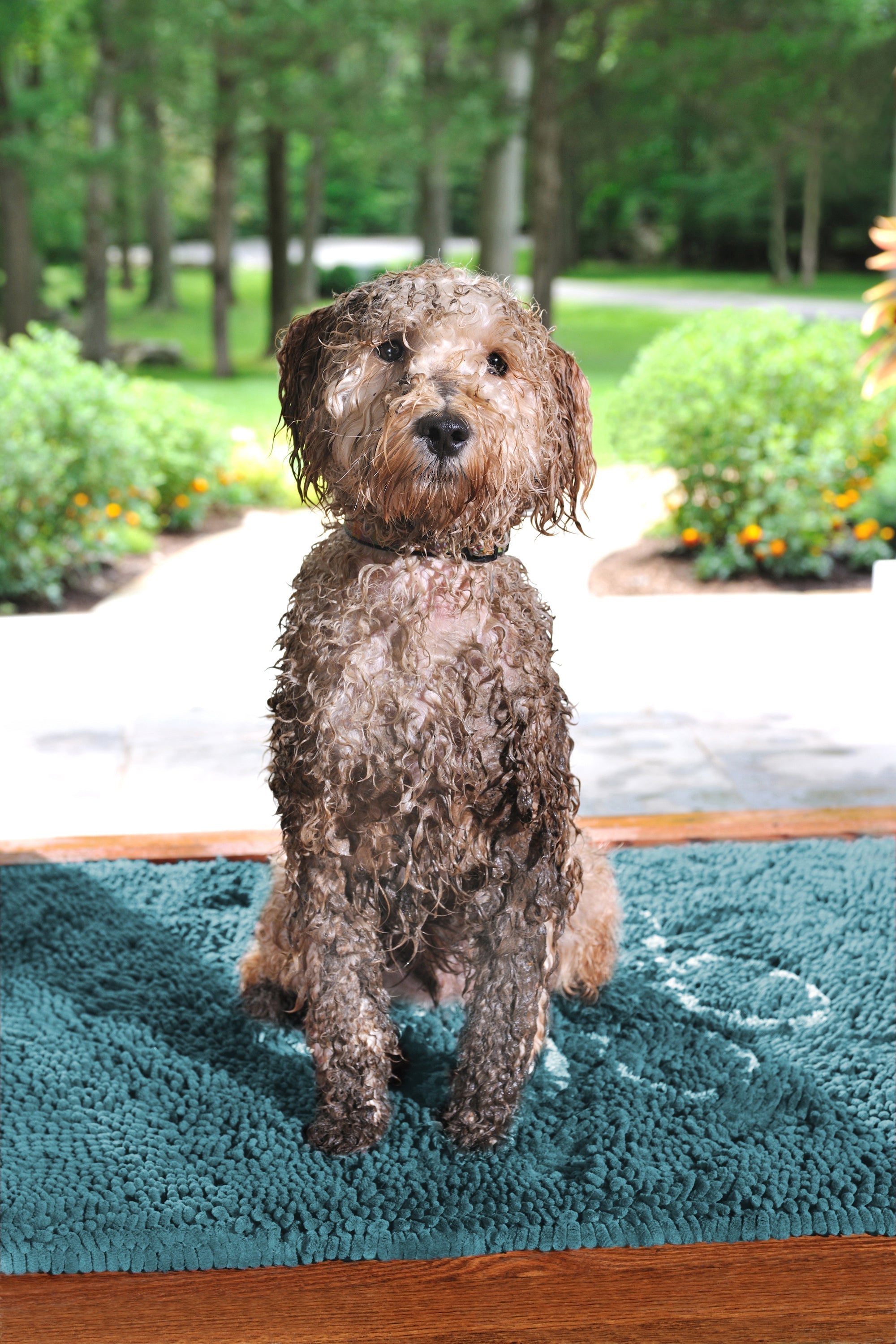 Dog Door Mat product image 1