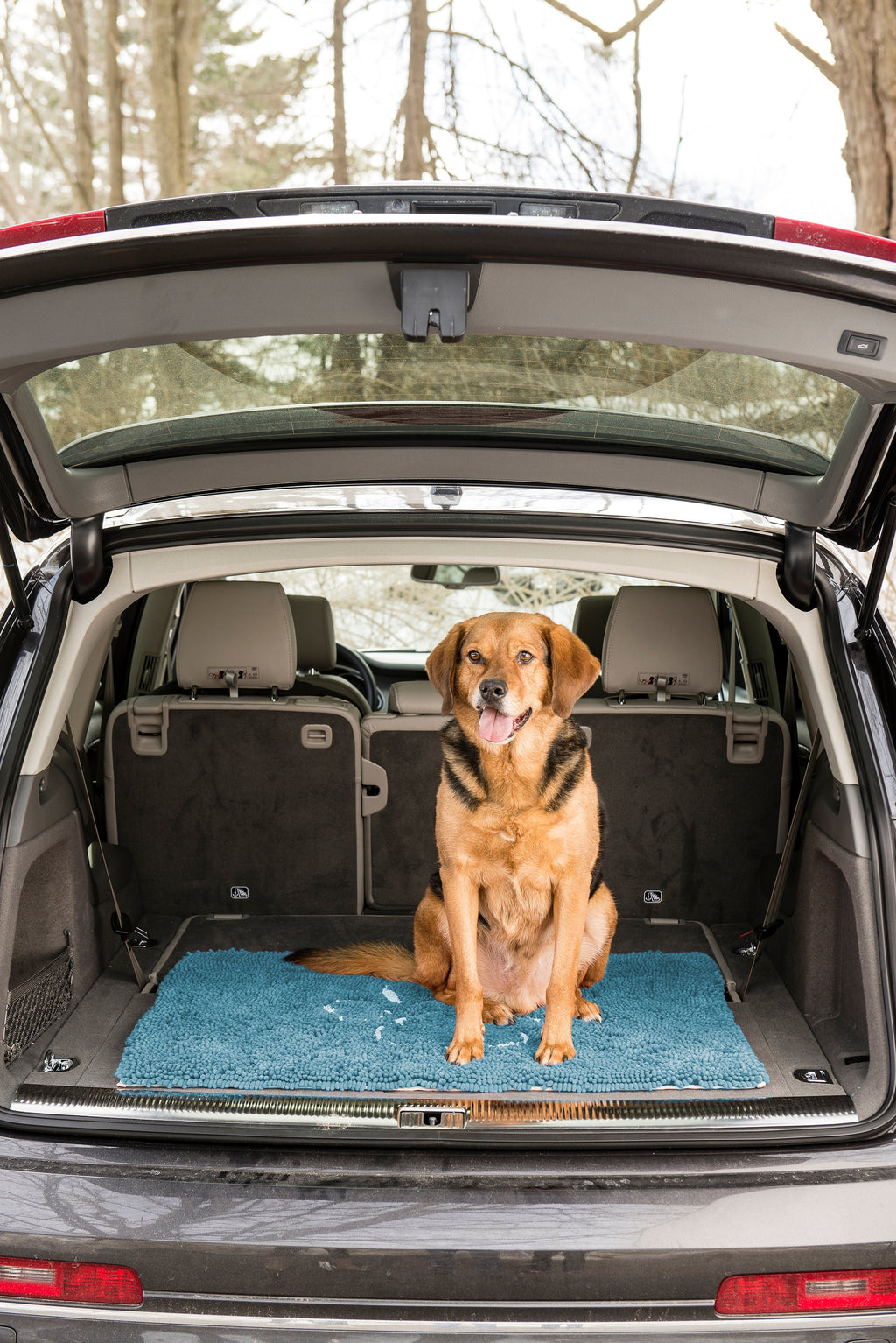 Dog Door Mat product image 3