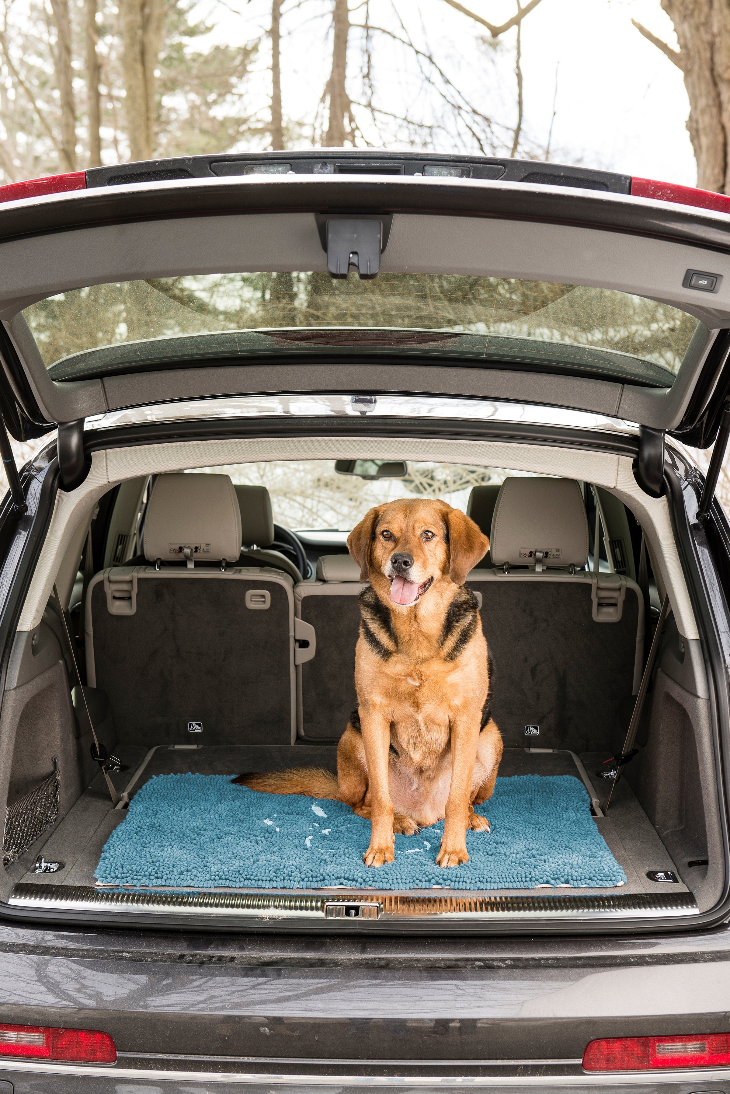 Dog Door Mat product image 3