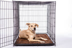 Dog Door Mat product image 5