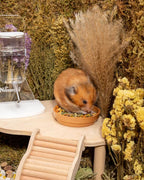 Hamster Food product image 5