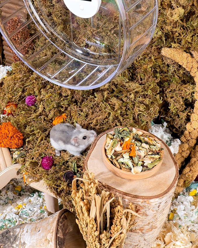Hamster Food product image 12