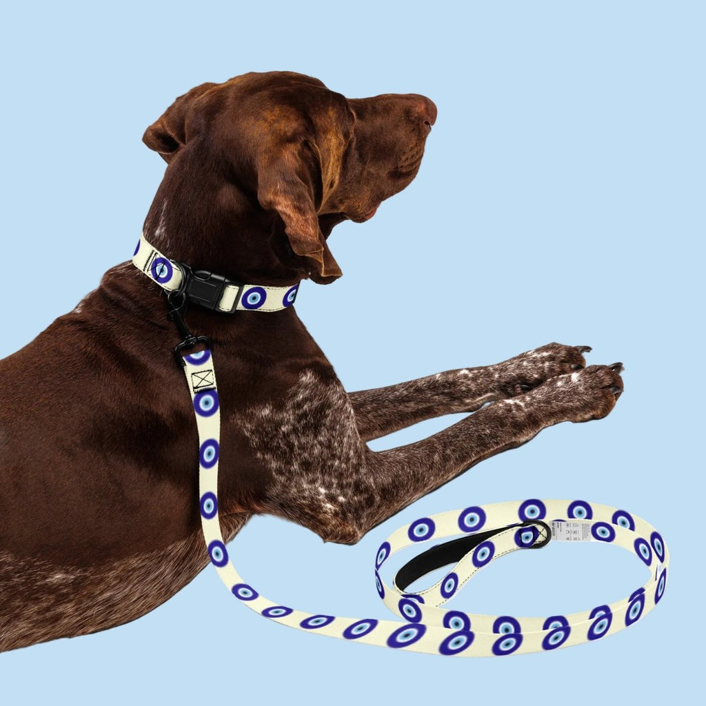 Dog Leash and Collar Set product image 1