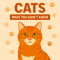 Cat Behavior E-book product image 1