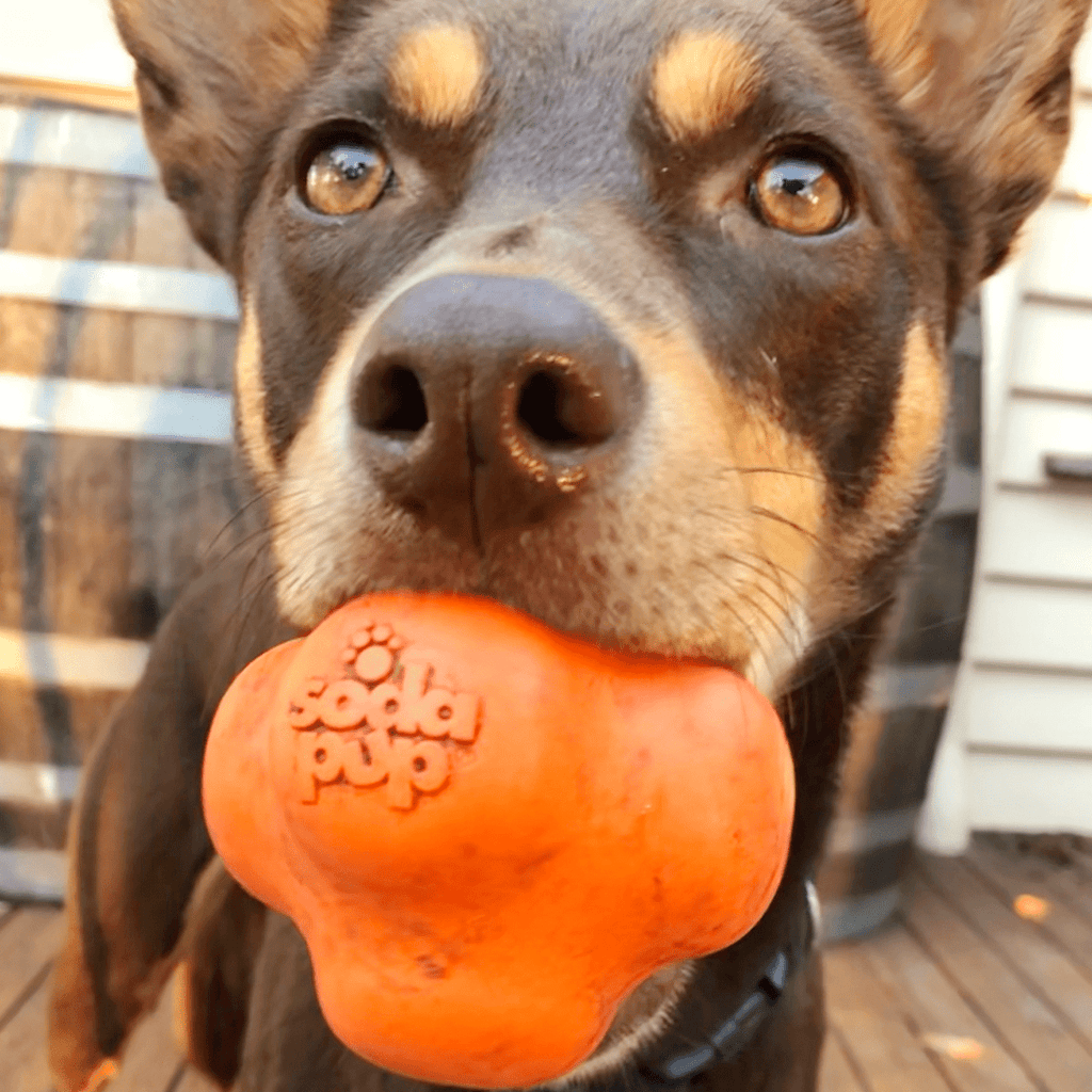 Dog Chew Ball product image 1