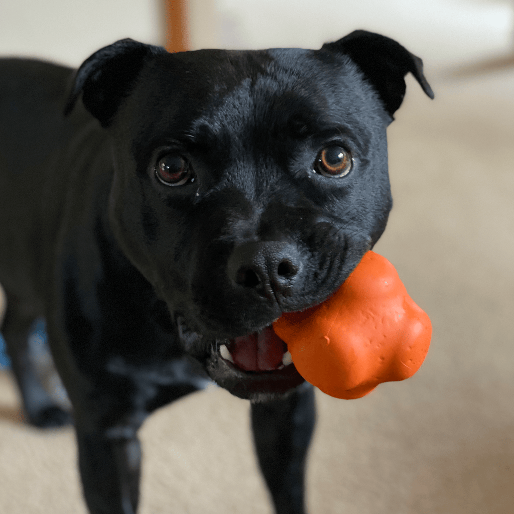 Dog Chew Ball product image 5