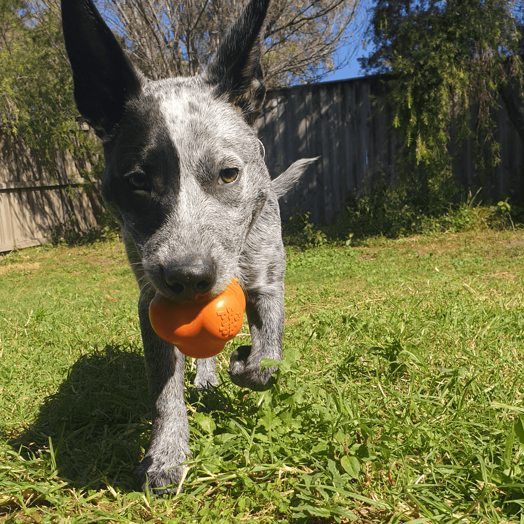 Dog Chew Ball product image 6