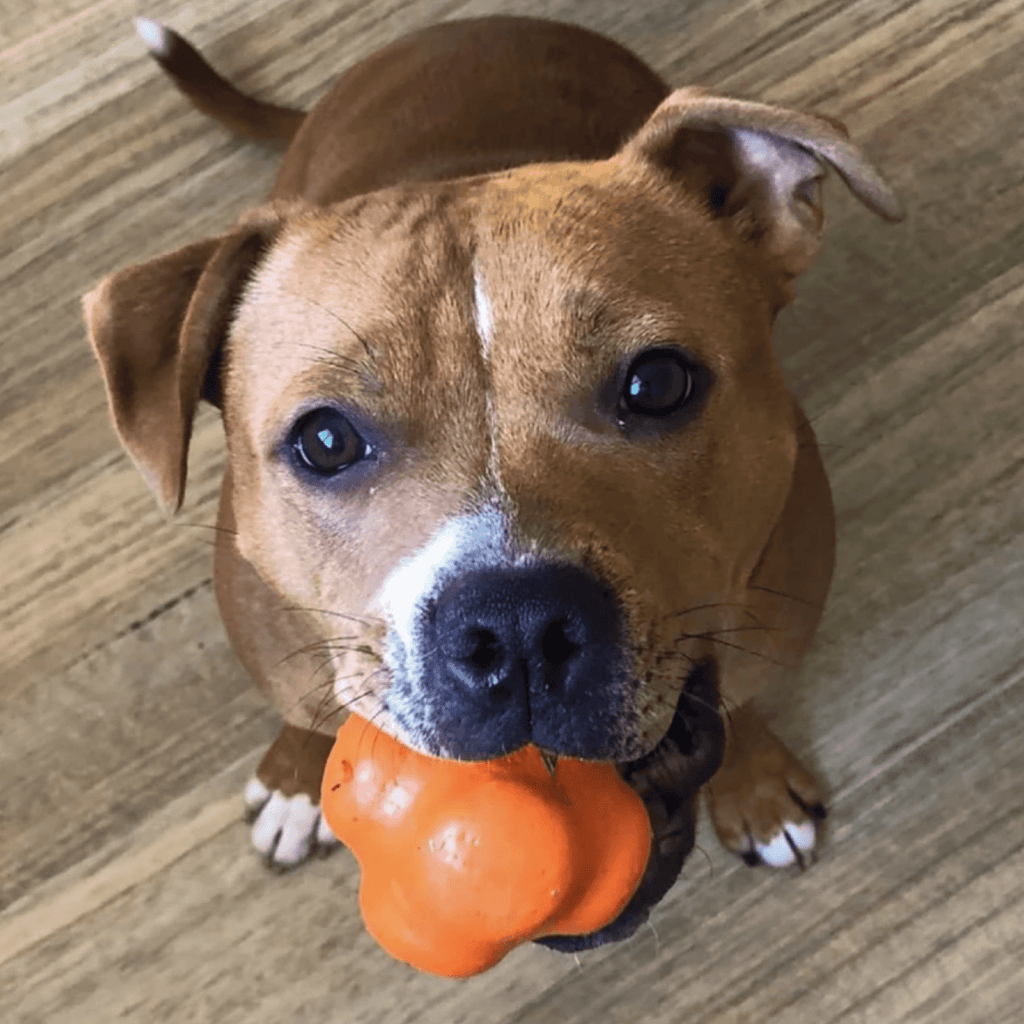 Dog Chew Ball product image 8
