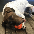 Dog Chew Ball product image 13