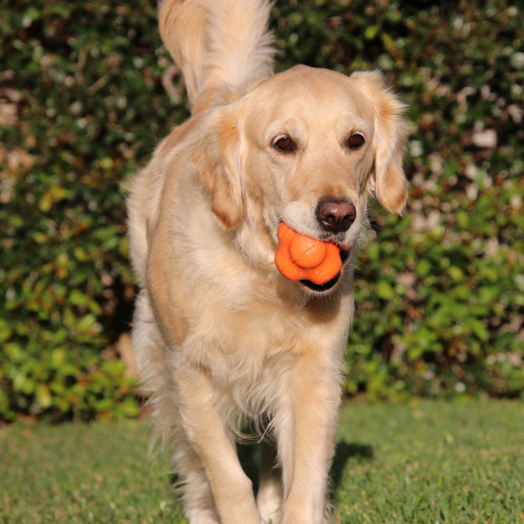 Dog Chew Ball product image 16
