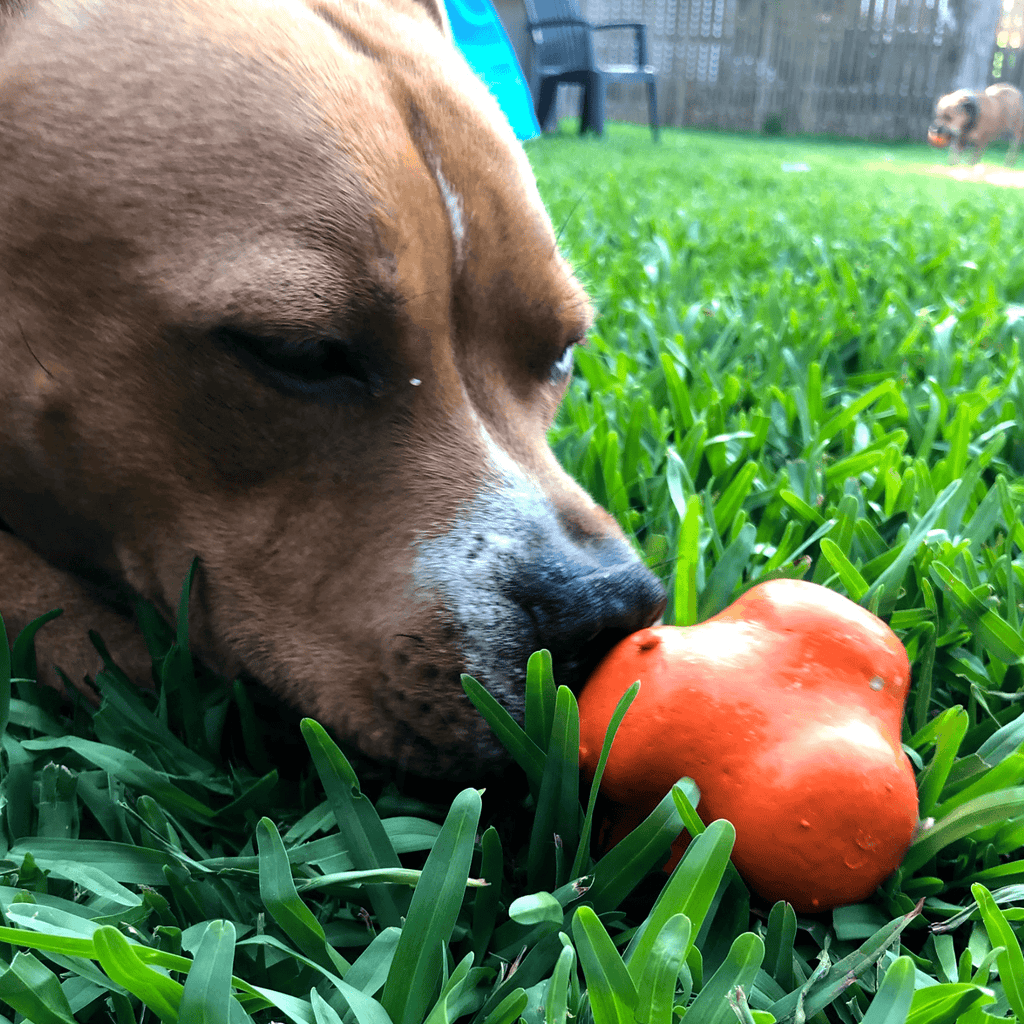 Dog Chew Ball product image 17