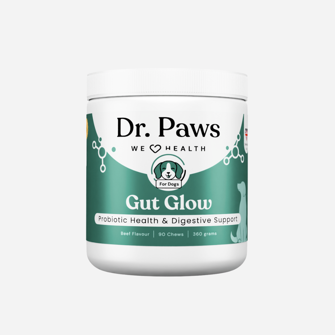 Dog Probiotic Chew Supplement product image 1