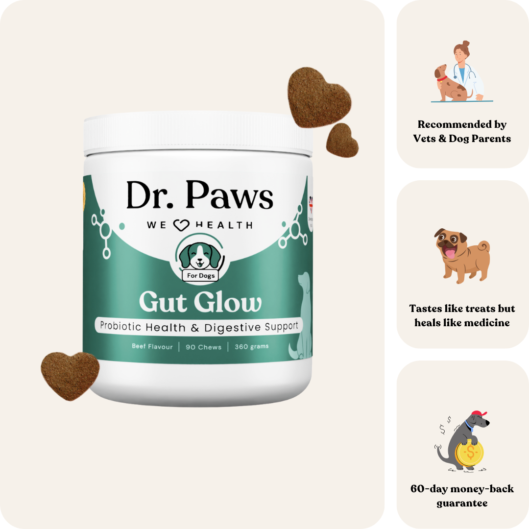 Dog Probiotic Chew Supplement product image 2