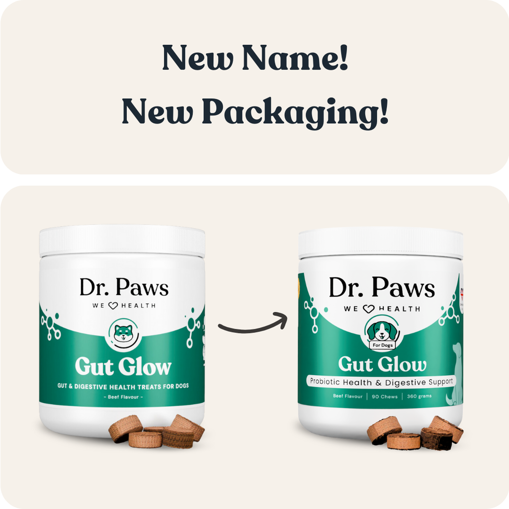 Dog Probiotic Chew Supplement product image 3