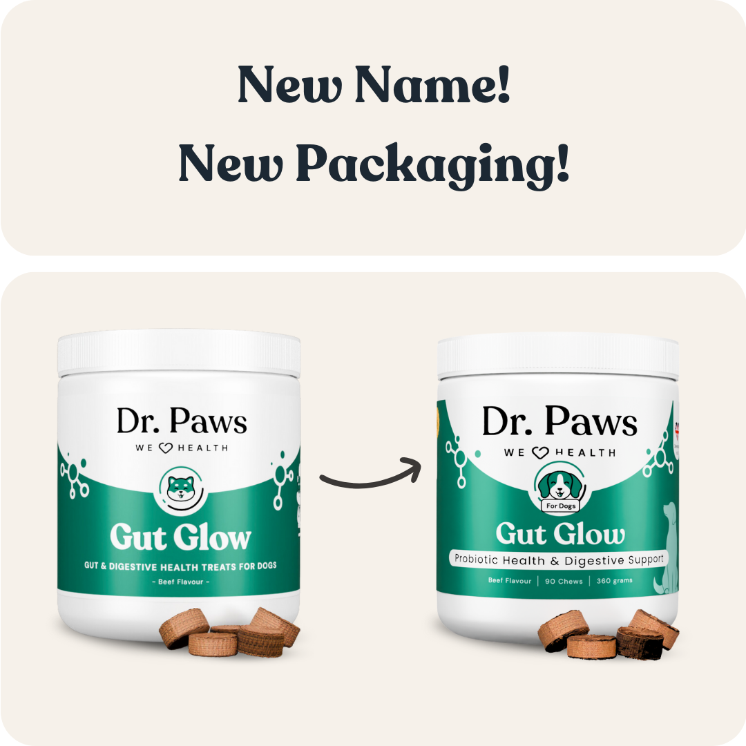 Dog Probiotic Chew Supplement product image 3