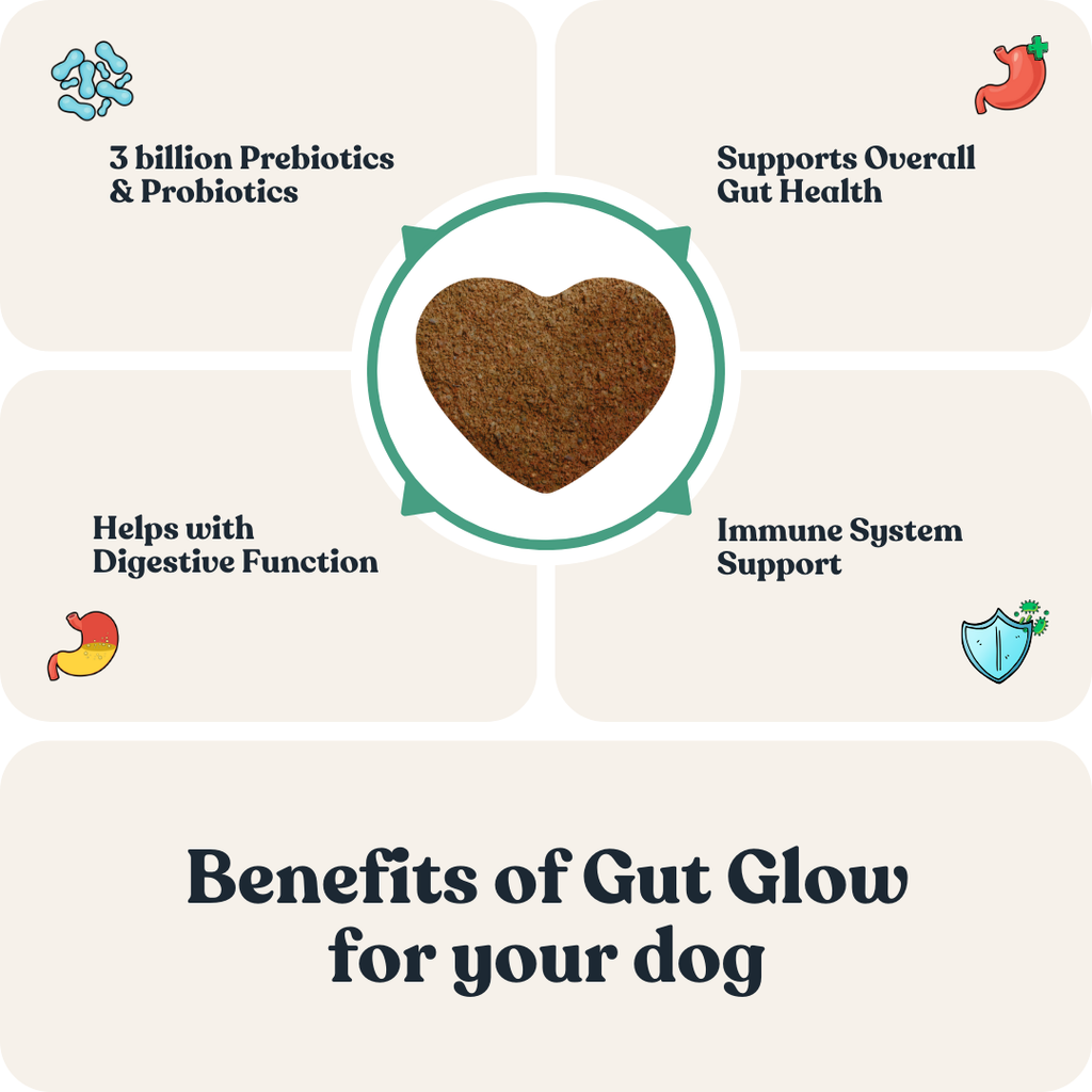 Dog Probiotic Chew Supplement product image 5