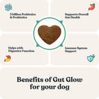 Dog Probiotic Chew Supplement product image 5