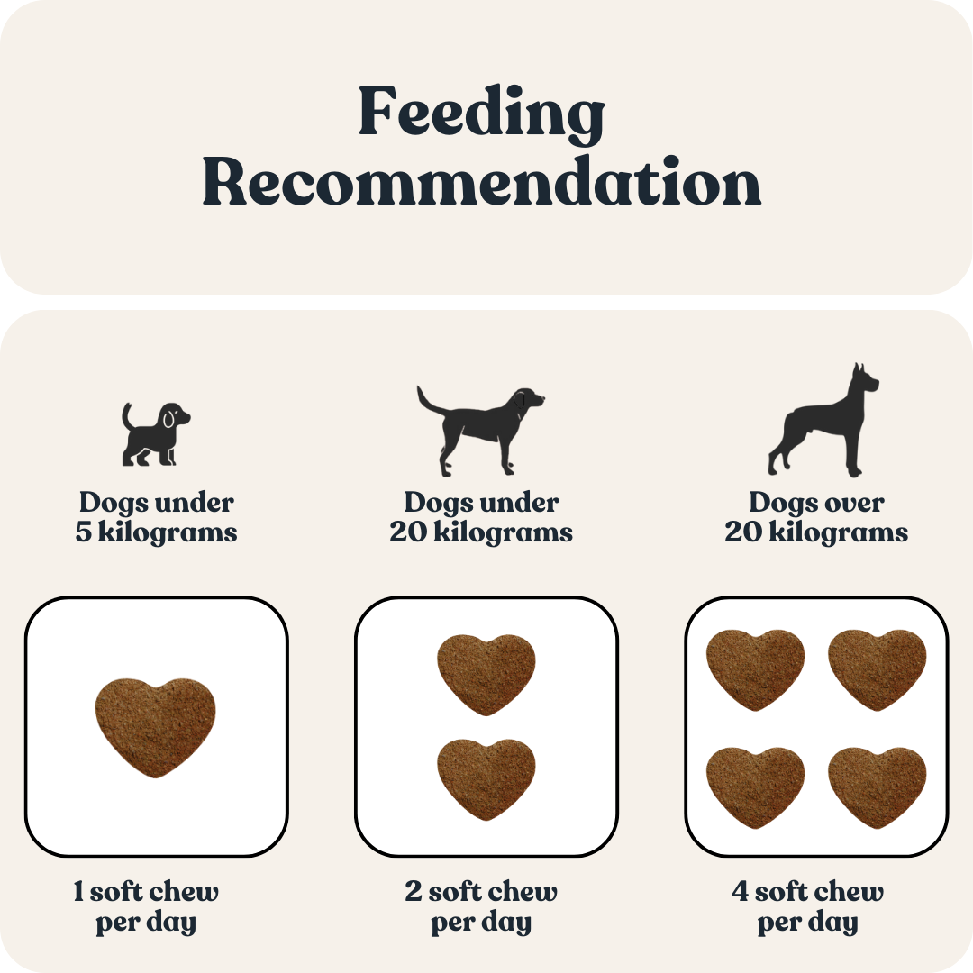 Dog Probiotic Chew Supplement product image 6