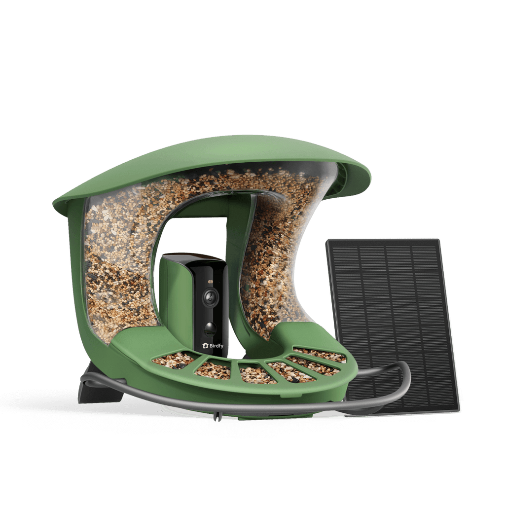 Smart Bird Feeder product image 1