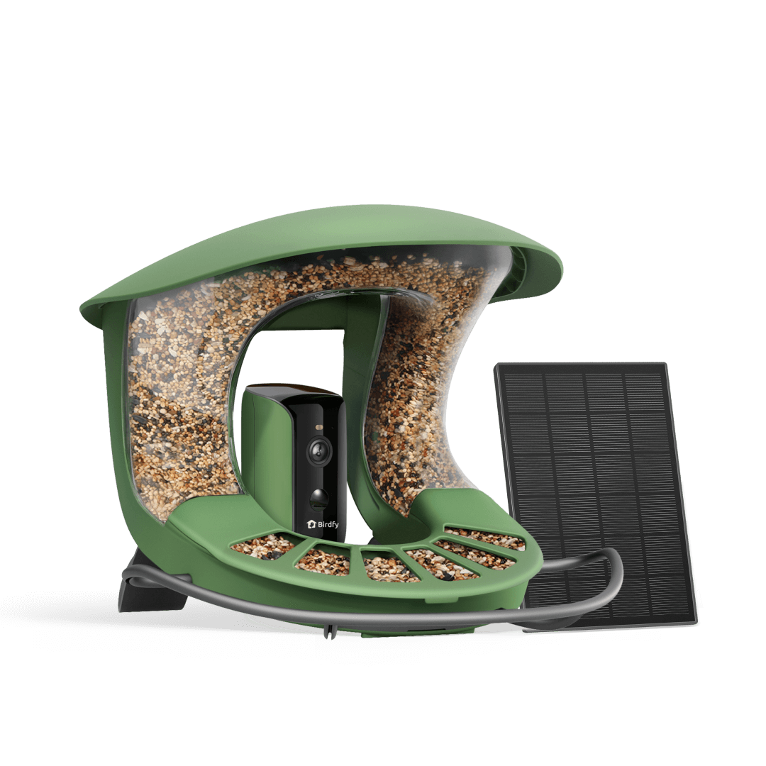 Smart Bird Feeder product image 1